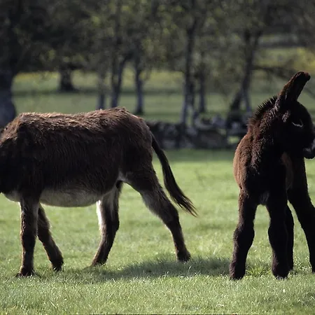 Casa De L Bárrio Picote