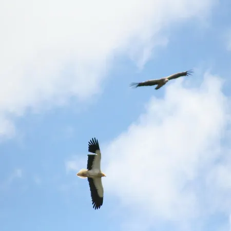 Casa rural Casa De L Bárrio *