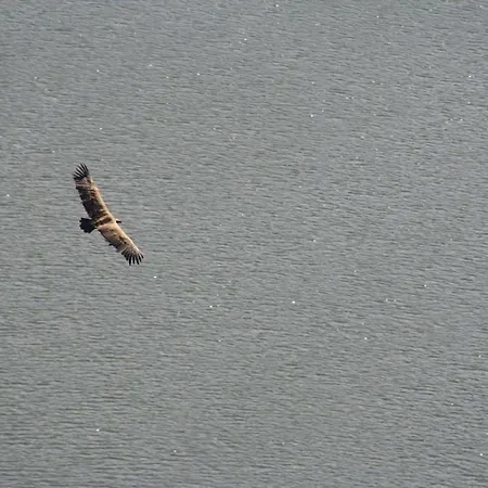 Casa De L Bárrio * Picote