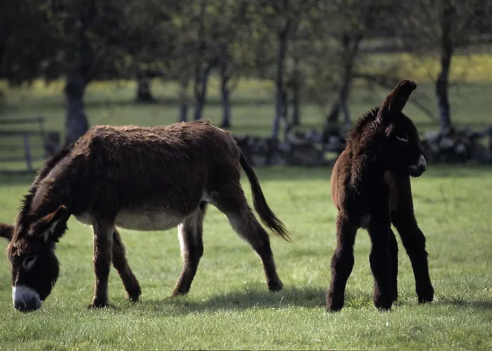 Casa De L Bárrio Picote