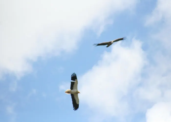 Casa di campagna Casa De L Bárrio *