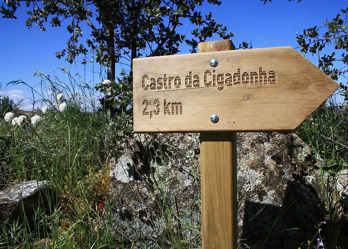 Gospodarstwo wiejskie Casa De L Barrio Picote