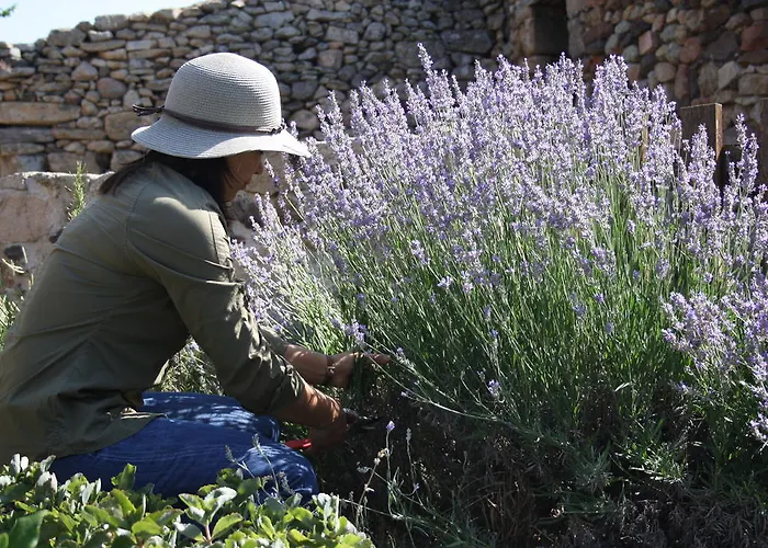 Casa De L Barrio 컨트리하우스 *