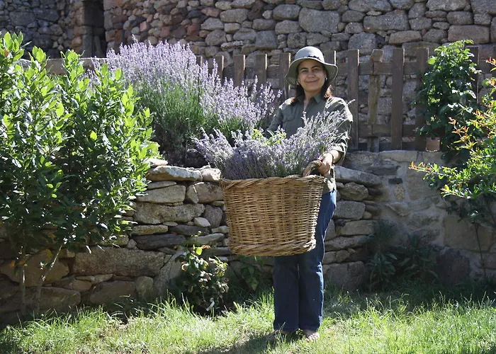Casa di campagna Casa De L Bárrio