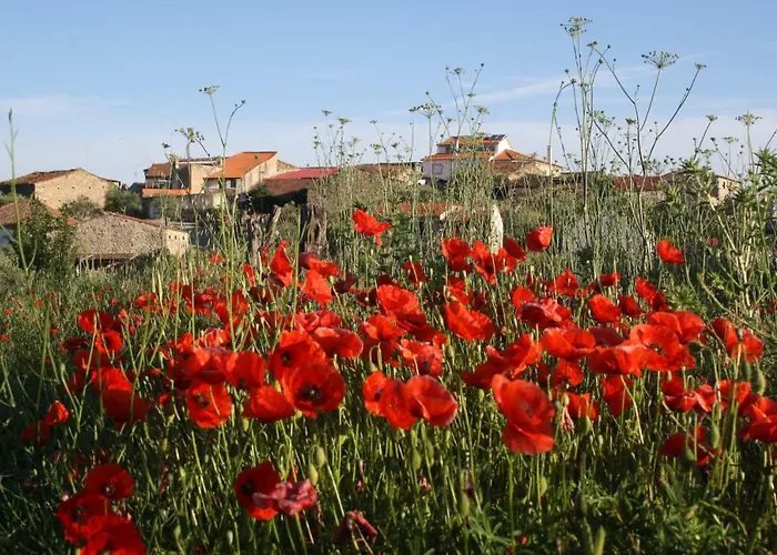 Casa di campagna Casa De L Bárrio