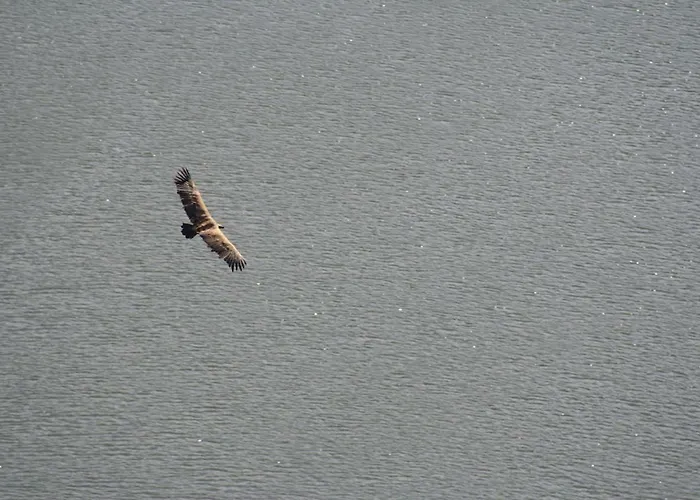 Casa De L Barrio * Picote